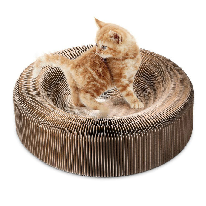 Portable Cat Scratching Lounge